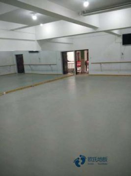 20厚運動型地板行業品牌