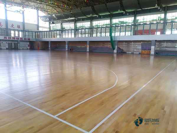 學(xué)校籃球場(chǎng)地地板標(biāo)準(zhǔn)尺寸1